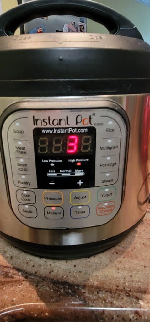 Instant Pot Pasta