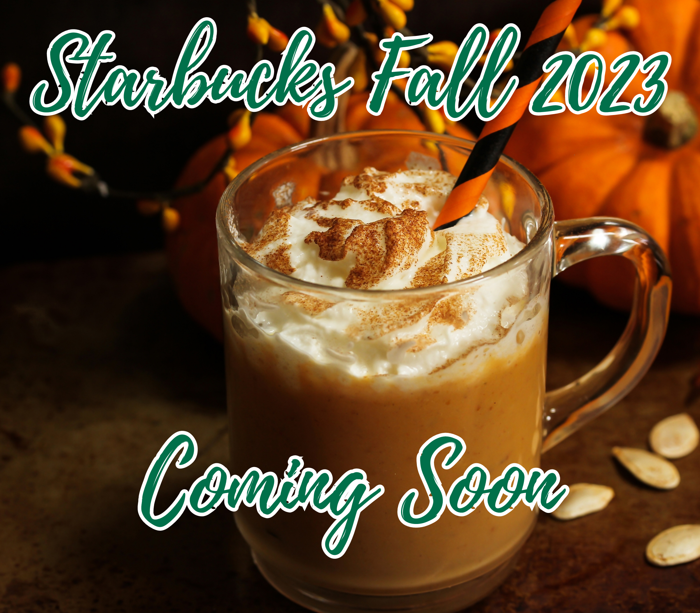 Starbucks Fall Drinks