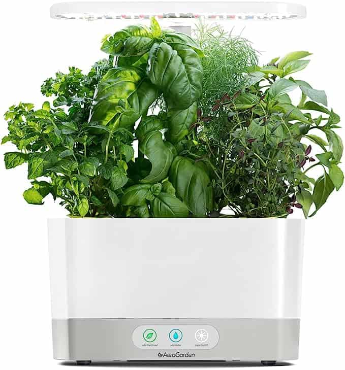 Chistmas Gift for Cooks AeroGarden